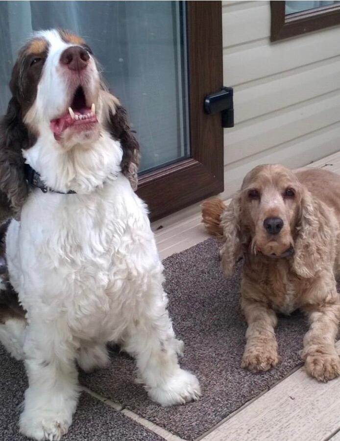 Nancy & Scooby